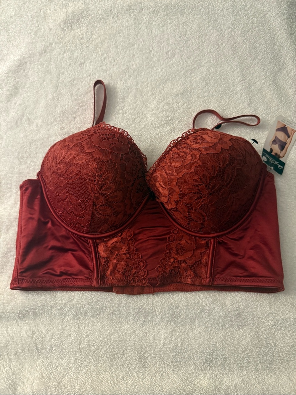 Longline Lace Bustier Bra in Brick Red